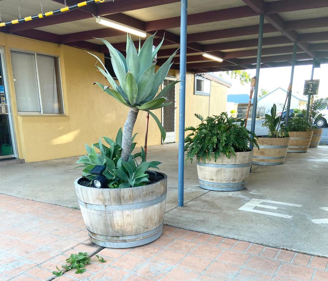 Proserpine Motor Lodge Kültér fotó